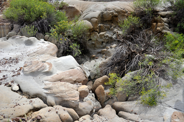 rock formations in Makoshika State Park